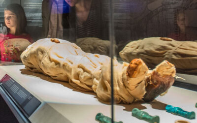 The Science of Mummies